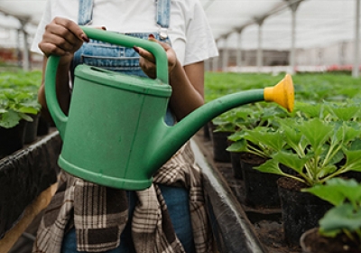 Vrouw met gieter, geeft planten in kas water