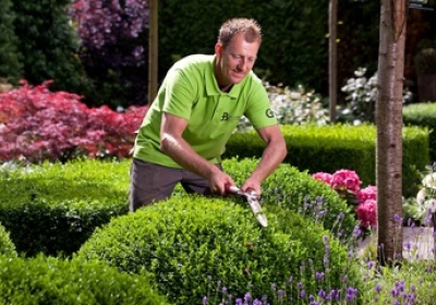 Tuinman knipt de heg